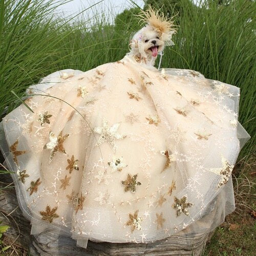 Pet Dog Dress Luxury Trailing Princess Wedding Dress For Small Dogs Golden Embroidery Puppy Clothes Lace Dress Chihuahua Poodle