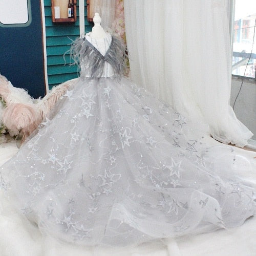 Pet Dog Dress Luxury Trailing Princess Wedding Dress For Small Dogs Feather Embroidery Puppy Clothes Lace Dress Chihuahua Poodle