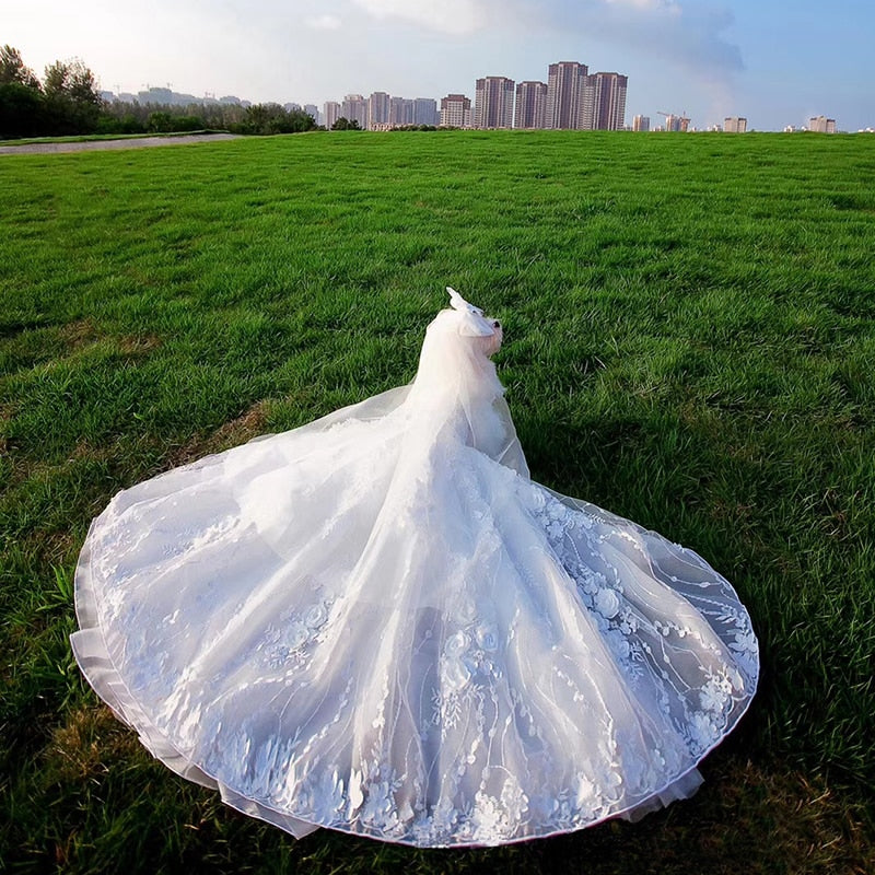 Pet Dog Dress Luxury Princess Trailing Wedding Dress For Small Dogs Handmade White Embroidery Lace Puppy Clothes Skirt Chihuahua