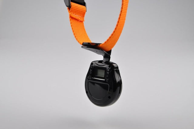 QQQPET DVR Pet Video Camcorder Black Useful Dog Cat Puppy Mini Camera HD Collar Video Recorder Monitor