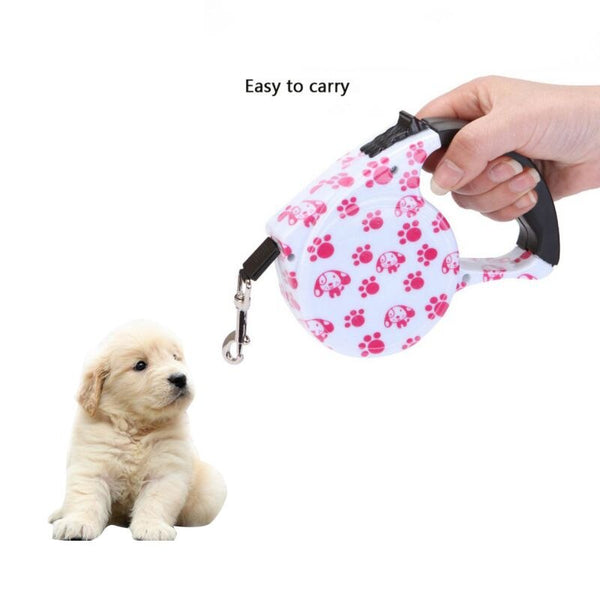 5M Retractable Dog Leash Automatic Dog Puppy Belt Line Puppy Collar Leash Patrol Rope Walk Cat Traction Supplies For Pet Walking