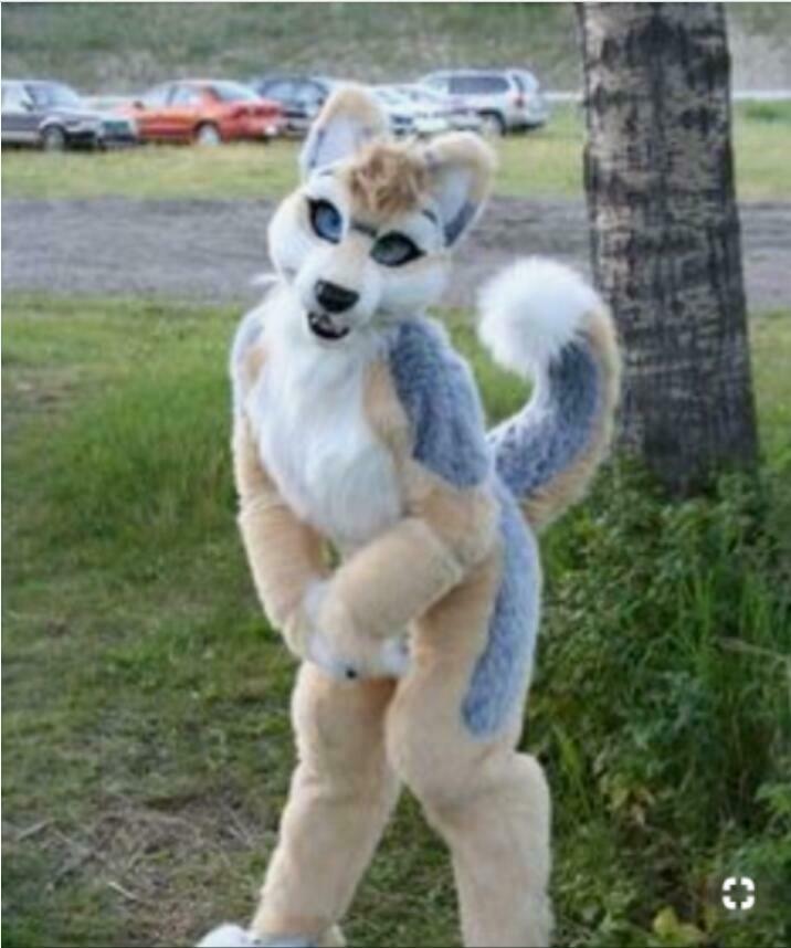 Halloween Fur Husky Dog Fursuit Mascot Costume Cosplay Party Game Dress Adult US Factory Wholesale + Free Shipping
