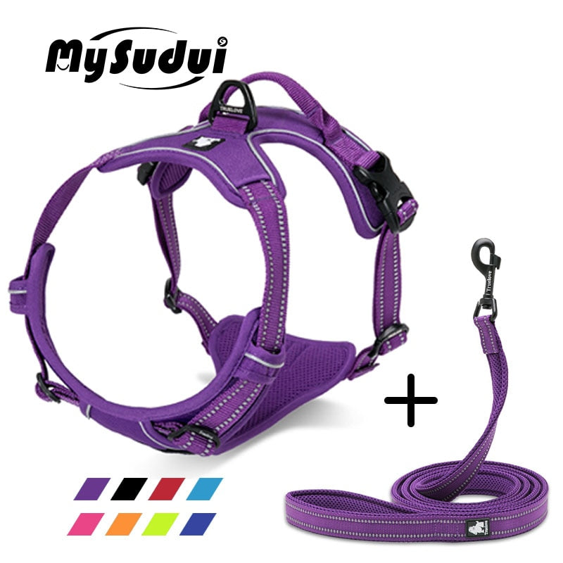 Truelove Pet Dog Harness Leash For Pet Set Large Small Medium Dogs Collars And Harnesses For Dogs Nylon Dog Leash And Harness