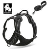 Truelove Pet Dog Harness Leash For Pet Set Large Small Medium Dogs Collars And Harnesses For Dogs Nylon Dog Leash And Harness