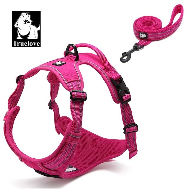 Truelove Pet Dog Harness Leash For Pet Set Large Small Medium Dogs Collars And Harnesses For Dogs Nylon Dog Leash And Harness
