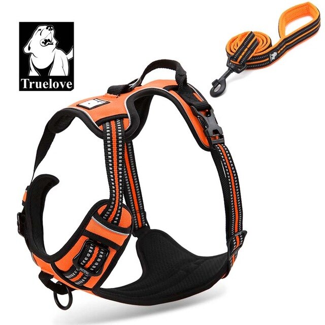 Truelove Pet Dog Harness Leash For Pet Set Large Small Medium Dogs Collars And Harnesses For Dogs Nylon Dog Leash And Harness