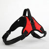 Large Pet Dog Collar Harness Leash Set Traction Rope Walk The Dog P Chain Pet Lead Harness Vest for Medium Large Dogs