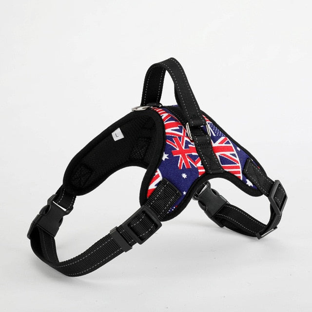 Large Pet Dog Collar Harness Leash Set Traction Rope Walk The Dog P Chain Pet Lead Harness Vest for Medium Large Dogs