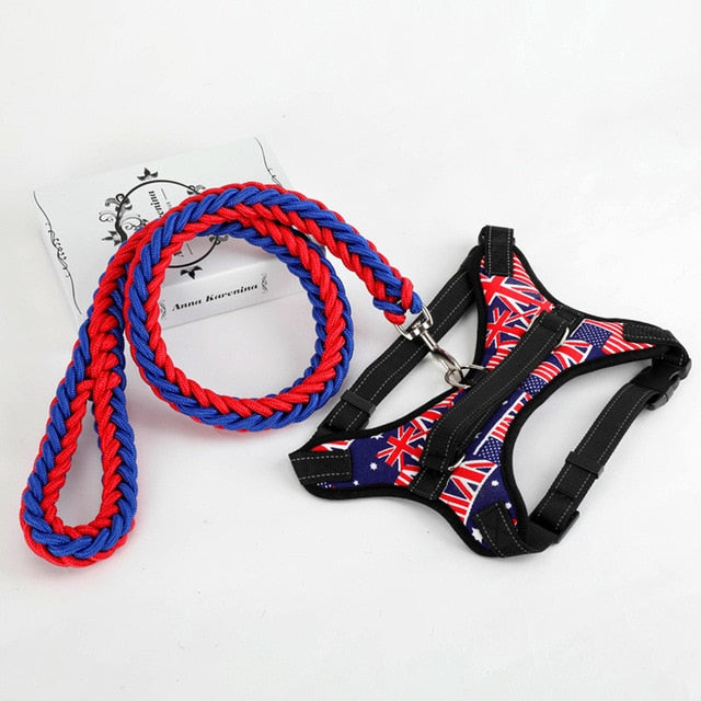 Large Pet Dog Collar Harness Leash Set Traction Rope Walk The Dog P Chain Pet Lead Harness Vest for Medium Large Dogs