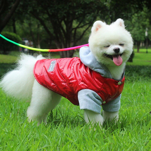 Dog Clothes Winter Warm Pet Dog Jacket Coat Puppy Chihuahua Clothing Hooded Coat For Small Medium Dogs Puppy Yorkshire Outfit
