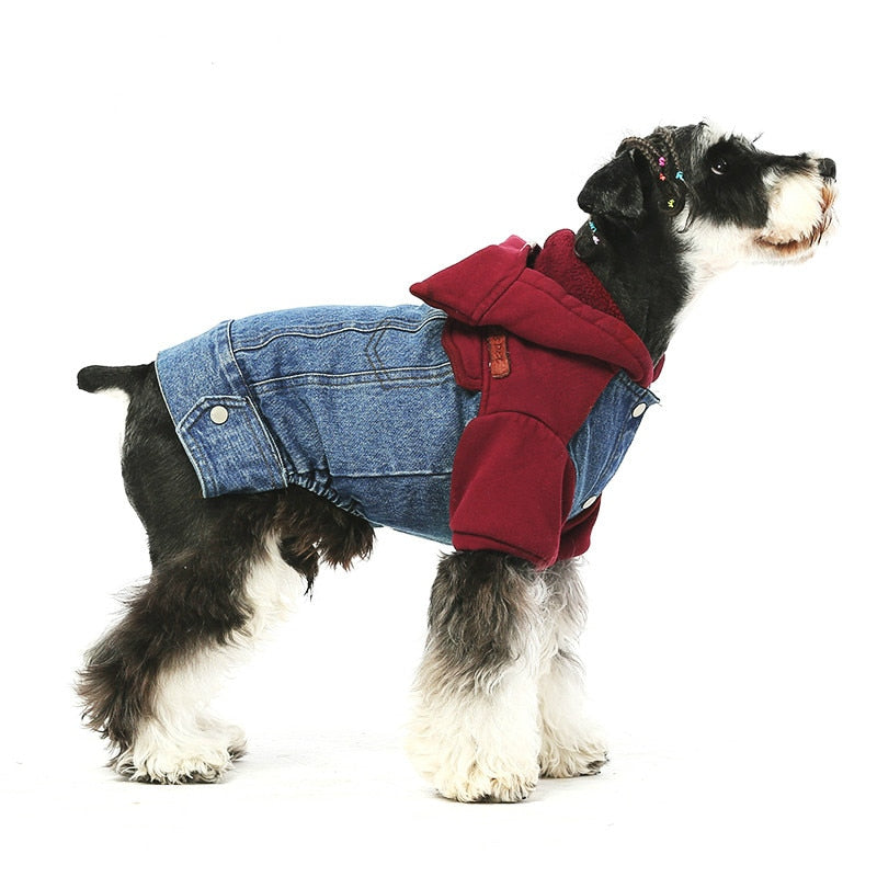 Pet Dog Cat Clothing Pet Clothes Teddy Schnauzer Winter Suit Cotton Jeans Jacket Anti-stati Cat Dog Hoodie  Dog Clothes