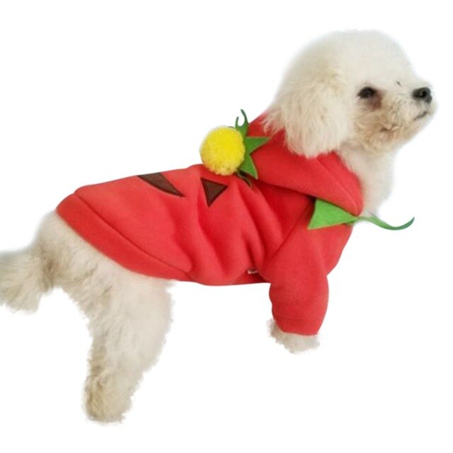 Pet Clothes Cosplay Pumpkin Hoodies Dogs Cat Halloween Cute Costume Clothing Comfort For Small Medium Dog