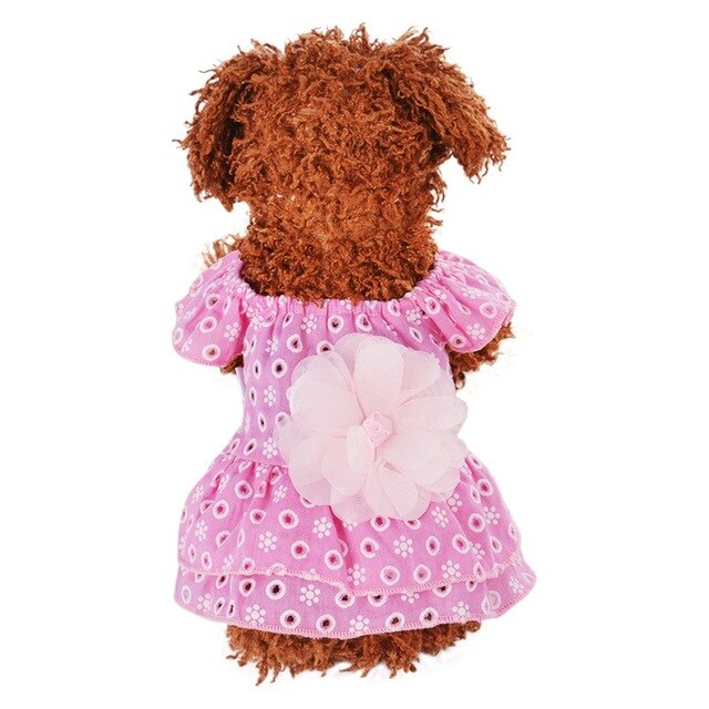 Dog Lace Princess Dress Pet Clothes Spring Small Dog  Skirt Summer Thin Section Romantic Wave Point Gauze Skirt Pet Clothing