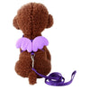 Dog Collar Pet Dog Angel Wings Belt And Collar Adjustable Puppies Lead Traction Belt Pet Out Accessories