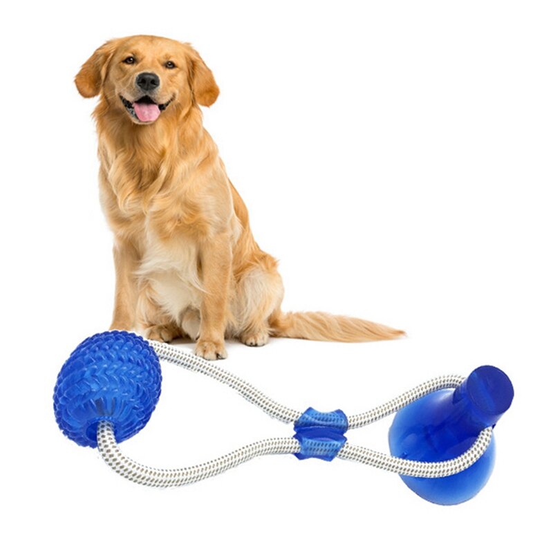 Pet Dog Rubber Ball Training Toy Chew Play Fetch Bite Toy With Suction Cup Dog Molar Chew Toy Self Interactive Toy