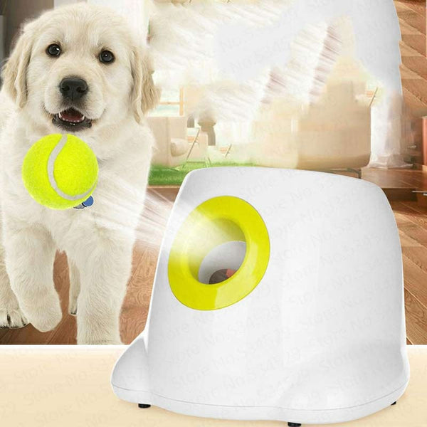 Pet Dog Toy Automatic Interactive Ball Launcher Tennis Ball Rolls Out Machine Launching Fetching Balls Dog Training Tool