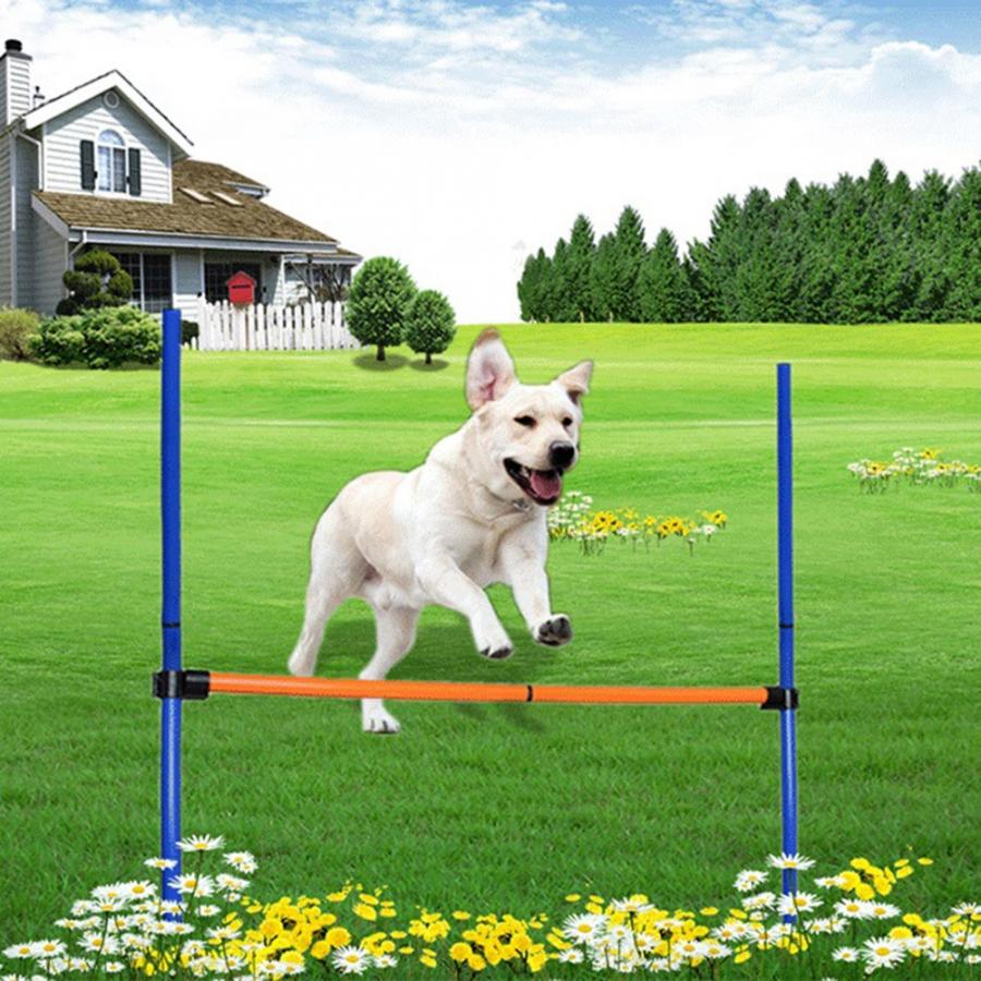 Pet Training Equipment Outdoor Detachable Pet Dogs Agility Jump Hurdle Bar Games Equipment Exercise Toy Exercise Pole Set
