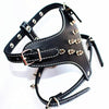 20pcs Puppy Cat Chest Collar PU Leather Sturdy Dog Harness Rivet Decorative Pet Leashes For Dogs Supplies Accessories