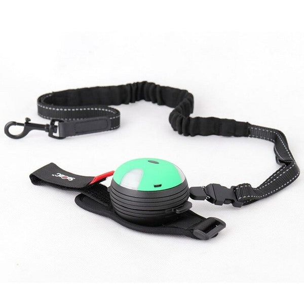 3M Dog Lights Leash Walking Running Retractable Traction Rope Creative Lamp Automatic Rope Pet Supplies