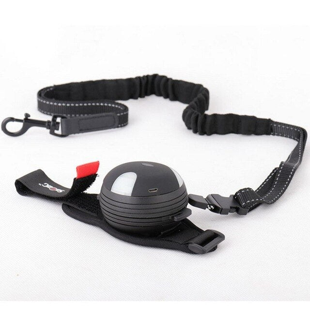 New 3M Dog Lights Leash Walking Running Lead Retractable Belt Traction Rope Creative Lamp Automatic Rope Pet Supplies