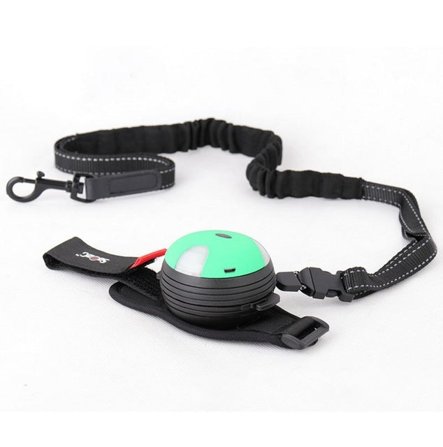 New 3M Dog Lights Leash Walking Running Lead Retractable Belt Traction Rope Creative Lamp Automatic Rope Pet Supplies