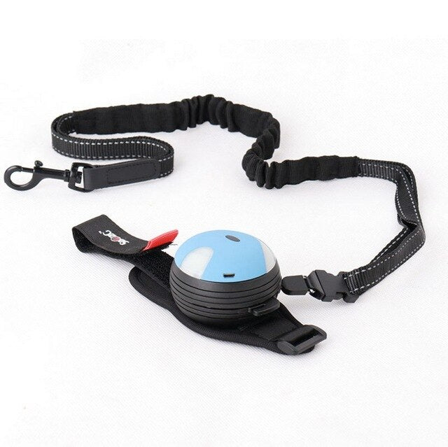 New 3M Dog Lights Leash Walking Running Lead Retractable Belt Traction Rope Creative Lamp Automatic Rope Pet Supplies