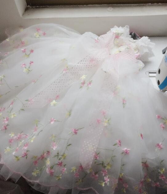 OnnPnnQ Dog Dress Gorgeous Embroidered Tutu Dresses Handmade Pet Luxury Trailing Wedding Skirt Bow Dog Clothes Chihuahua Poodle