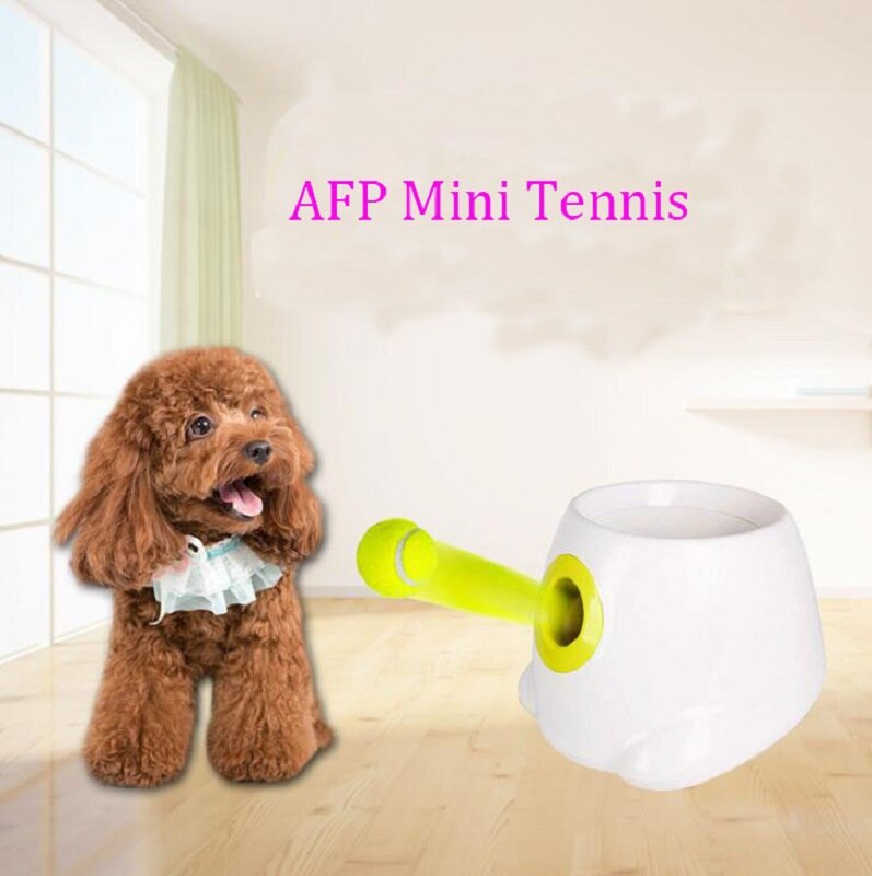 Hot sell Automatic throwing  machine pet Ball throw device 3/6/9m Dog pet toys Tennis Launcher Section emission with 3 balls