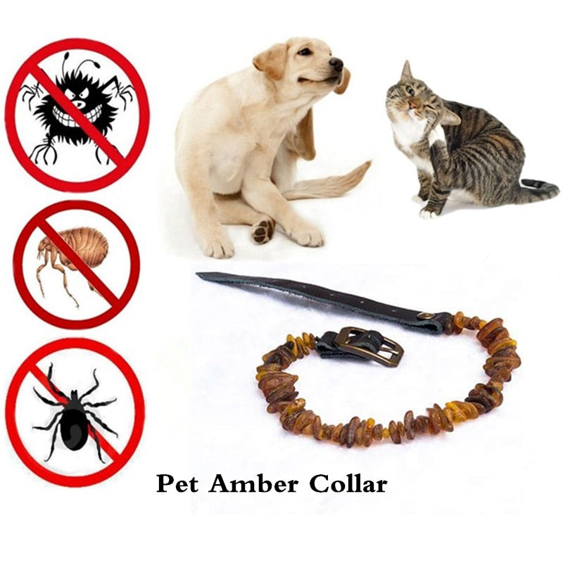Noble Waterproof Amber Energy Collar Pet Dog Cat Deworming Anti-mosquitos ticks fleas Amber Stone Collar Necklace for Small Pet
