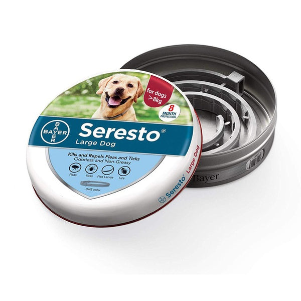 Pet dogs and cats have fleas on their collars